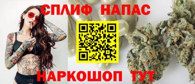 тгк Новозыбков