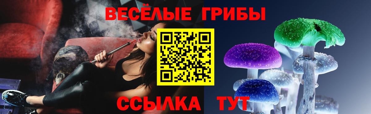 Псилоцибиновые грибы Psilocybe Тимашёвск